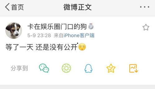 吃瓜爆料不定时,神秘事件背后真相大揭秘！